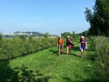 2013-07-18 10_44 017